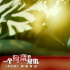 “惡魔”還在！《母親的復仇》以愛之名親手復仇