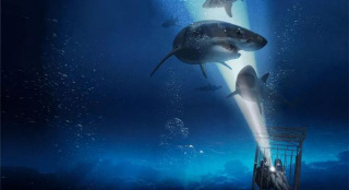 星二代闪耀！《鲨海47：猛鲨出笼》发布新预告