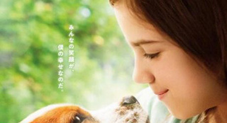 《一条狗的使命2》曝日本海报 少女CJ和狗狗对视