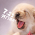 电影《小Q》宣布提档 任达华首次挑战盲人角色