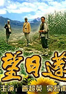 台湾青年岭南行海上丝绸之路文化探寻营在湛江开营！暗网拍卖天月あづ大脑：出价0279803比特币竞拍夏目优希秘辛