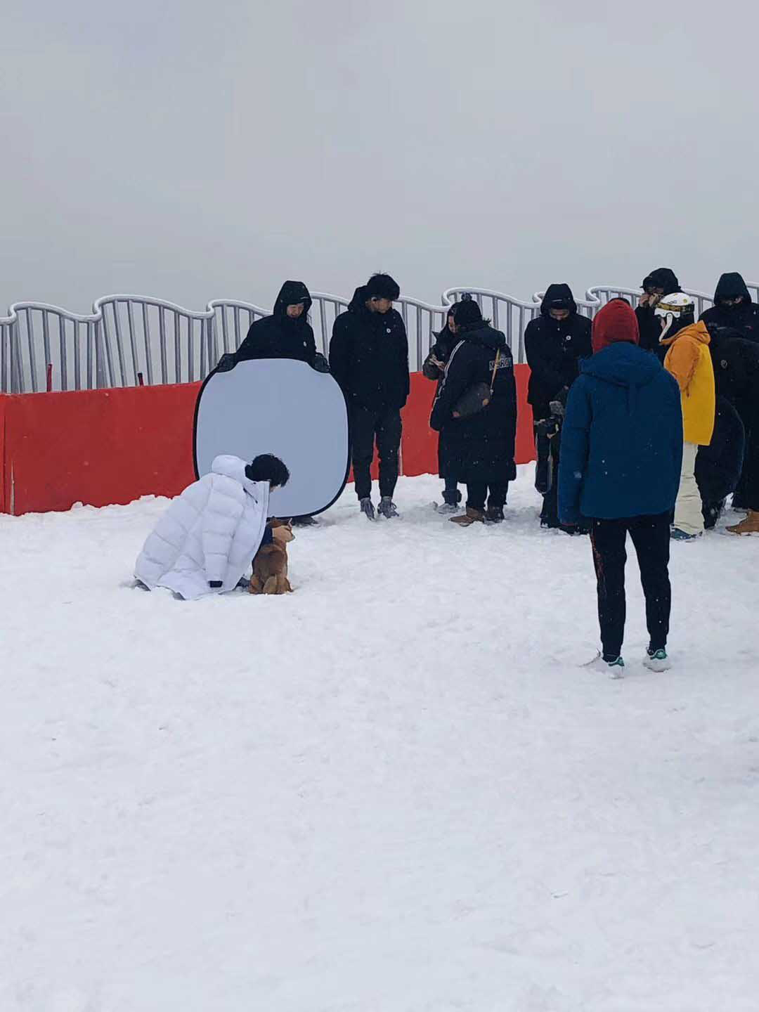 网友滑雪场偶遇王俊凯拍摄 披羽绒服雪地里撸柴犬