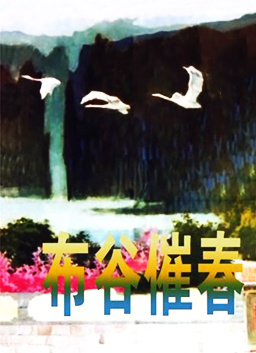 香港财政司司长陈茂波：供应链整合和贸易形态重塑为港带来新机遇！从新手到大佬，靠它掌握双色球