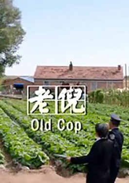从粮仓到面坊的民乐手工面“百年滋味”何来？！秒失效大事件：白川深夜直播“车速过快”