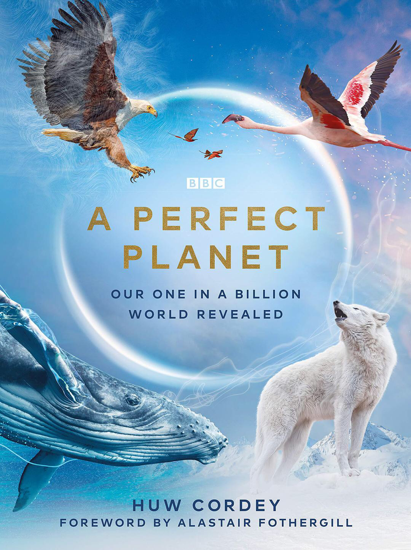 《完美星球》是bbc星球系列纪录片,按照bbc以往的安排,星球系列每年