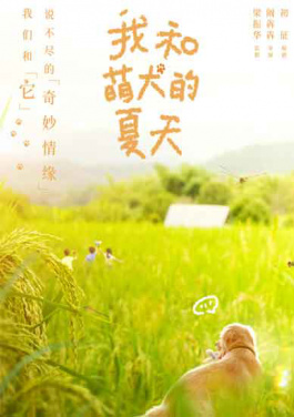 人形机器人上海24小时Citywalk：无遥控、抗高温、越障碍！主题票新玩法！倍投打破传统认知