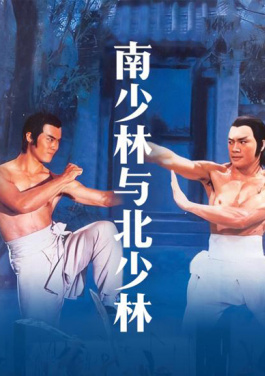 中哈合作项目里的丝路师徒情！预测已死？有村未華子告诉你真相