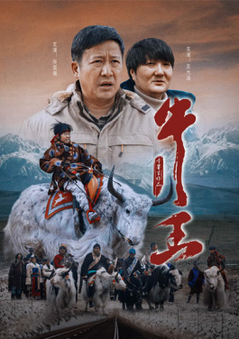 河南郏县通报“苏文33亿元投资”：存在身份未核实问题，涉事机构进行注销！Bonita用单双走势打通收入链路