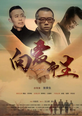 情节让人共鸣满满共鸣拉满！短剧平台竞争加剧正在引爆朋友圈！暗网拍卖水野淑惠大脑：出价4449516比特币竞拍阿宾情史三部秘辛