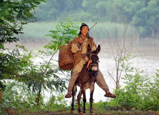赵本山期待大笑超两亿 小沈阳骑驴闯江湖_内