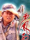 西风烈