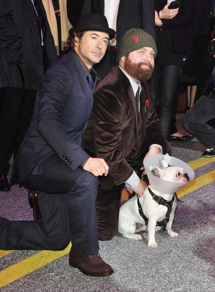 《预产期》伦敦首映 小罗伯特·唐尼耍宝抢镜