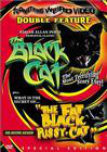 The Black Cat