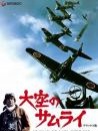 天空的武士
