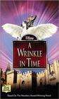 A Wrinkle in Time