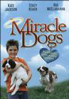 Miracle Dogs