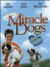 Miracle Dogs