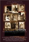 Unchained Memories: Readings from the Slave Narratives