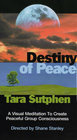 Destiny of Peace