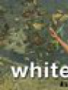 Whitepaddy