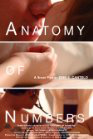 Anatomy of Numbers