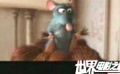 DVD销售排行榜 小老鼠位居榜首