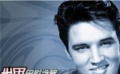 雨中纪念猫王 模仿者现场表演