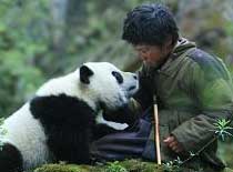 《熊猫回家路》国宝的历险记 领略神奇的卧龙风光