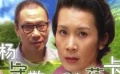 王學(xué)圻《楊守敬與呂蓓卡》 古典與現(xiàn)代的完美結(jié)合
