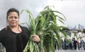 美紀錄片《花園》 如何平等公正對待最脆弱的群體