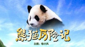 《熊貓歷險(xiǎn)記》預(yù)告片