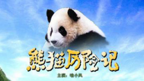 《熊猫历险记》预告片