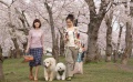 《十个约定》10 Promises to my Dog 2分钟预告片