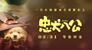《忠犬八公》發(fā)布特輯 人和狗狗戲里戲外有愛(ài)相伴