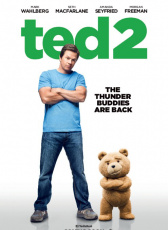 泰迪熊2