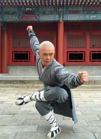武僧傳奇之終極一戰(zhàn)