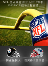 2015-2016賽季NFL匹茲堡鋼人VS新英格蘭愛國者