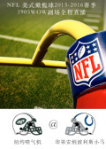 2015-2016赛季NFL纽约喷气机VS印第安纳小马