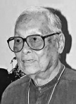 田丰