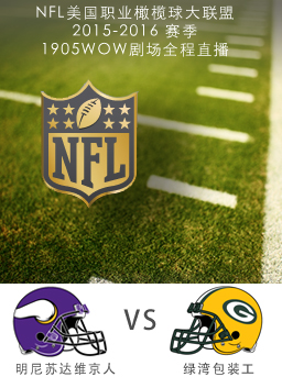 2015-2016賽季NFL明尼蘇達(dá)維京人VS綠灣包裝工