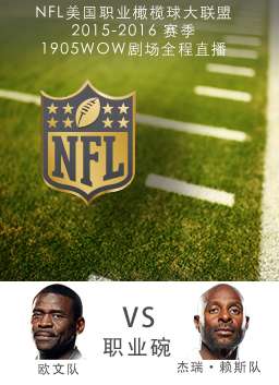 2015-2016赛季NFL职业碗