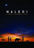 Naledi: A Baby Elephant's Tale