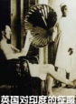 世界历史-英国对印度的征服