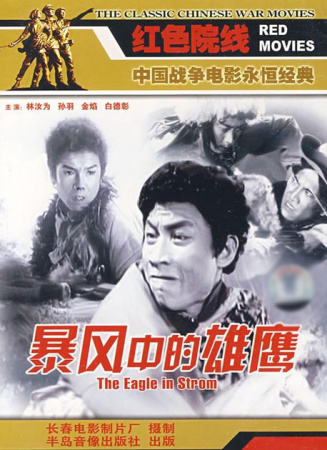 暴風(fēng)中的雄鷹
