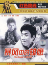 暴风中的雄鹰