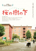 樱花树下