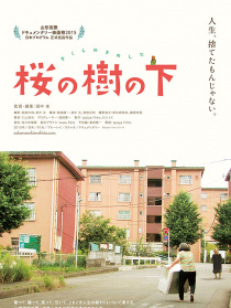 樱花树下