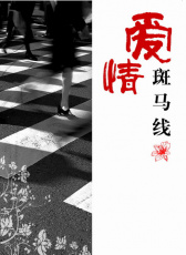 愛情斑馬線