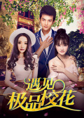 遇见极品校花