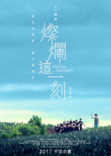鶹